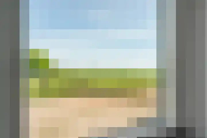 Oostwijk 3 Dedemsvaart thumbnail 25