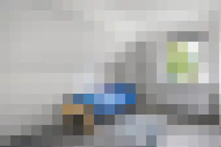 Oostwijk 3 Dedemsvaart thumbnail 28
