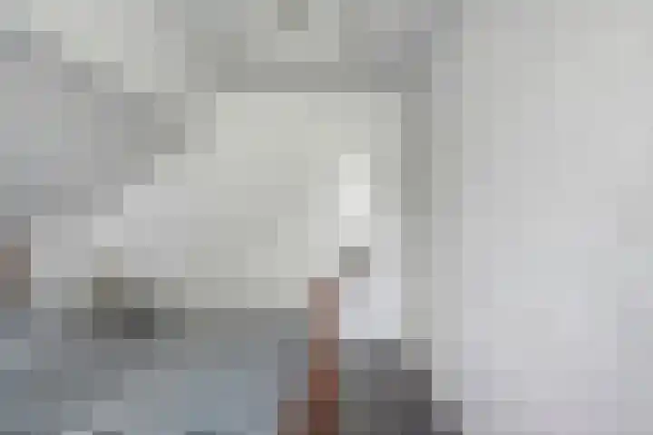 Oostwijk 3 Dedemsvaart thumbnail 31
