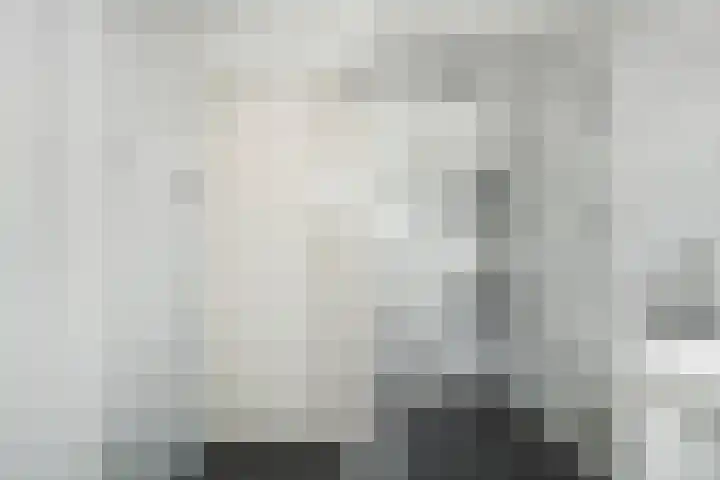 Oostwijk 3 Dedemsvaart thumbnail 33