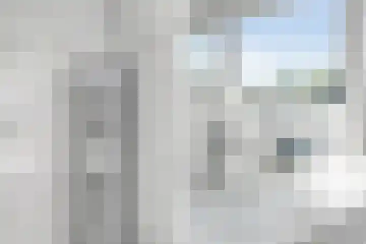Oostwijk 3 Dedemsvaart thumbnail 34