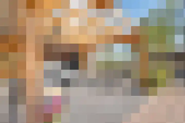 Oostwijk 3 Dedemsvaart thumbnail 35