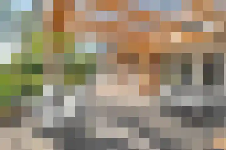 Oostwijk 3 Dedemsvaart thumbnail 37