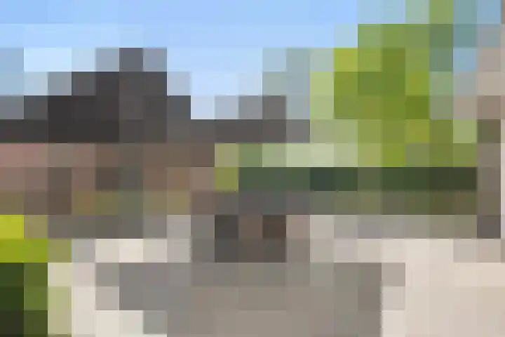 Oostwijk 3 Dedemsvaart thumbnail 38
