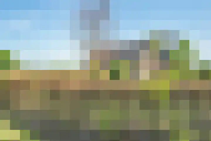 Oostwijk 3 Dedemsvaart thumbnail 4