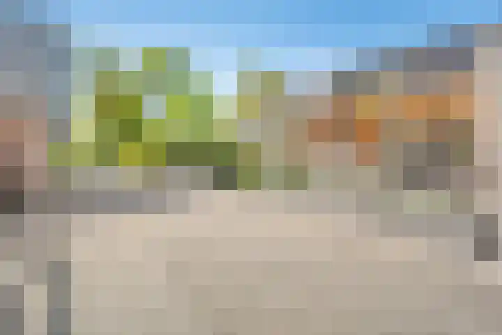 Oostwijk 3 Dedemsvaart thumbnail 41
