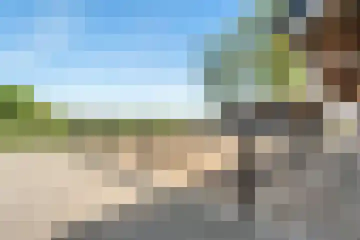 Oostwijk 3 Dedemsvaart thumbnail 43