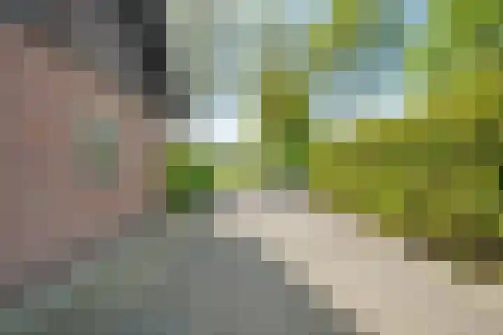 Oostwijk 3 Dedemsvaart thumbnail 44