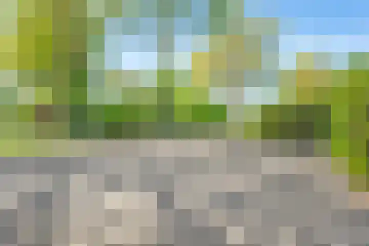 Oostwijk 3 Dedemsvaart thumbnail 45
