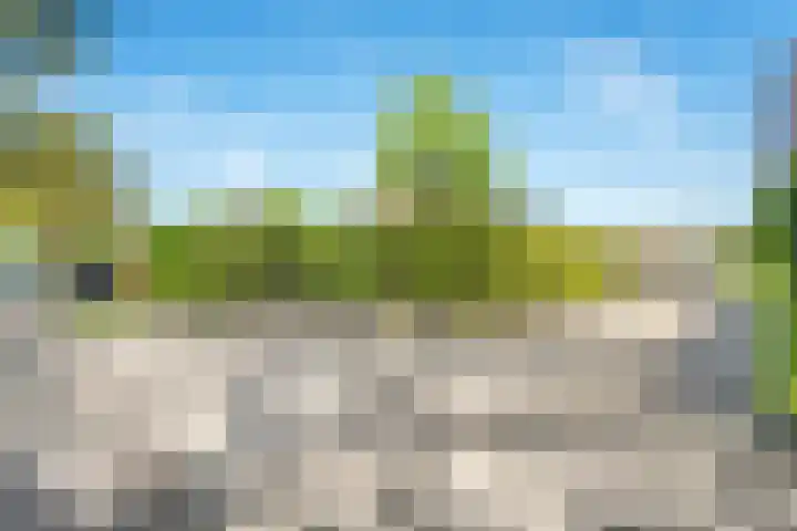 Oostwijk 3 Dedemsvaart thumbnail 46