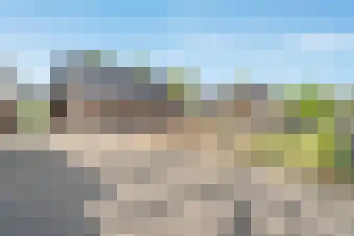 Oostwijk 3 Dedemsvaart thumbnail 48