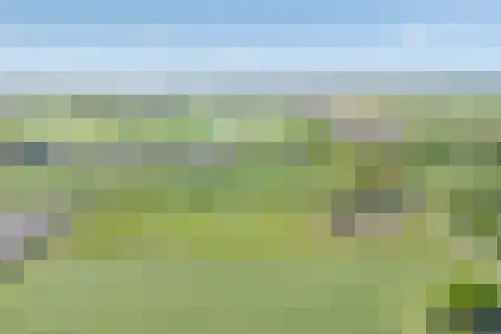 Oostwijk 3 Dedemsvaart thumbnail 5