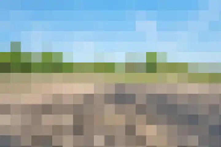 Oostwijk 3 Dedemsvaart thumbnail 50