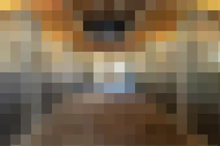 Oostwijk 3 Dedemsvaart thumbnail 52