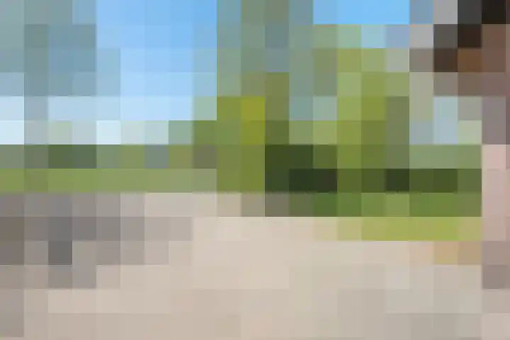 Oostwijk 3 Dedemsvaart thumbnail 54