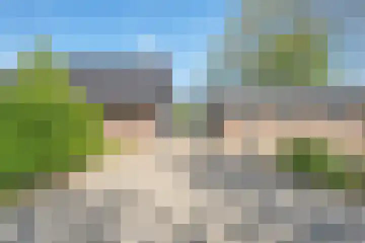 Oostwijk 3 Dedemsvaart thumbnail 55