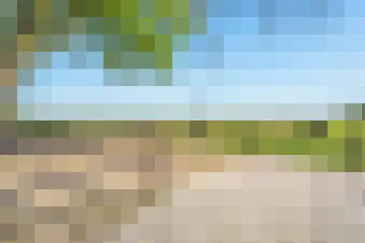 Oostwijk 3 Dedemsvaart thumbnail 56