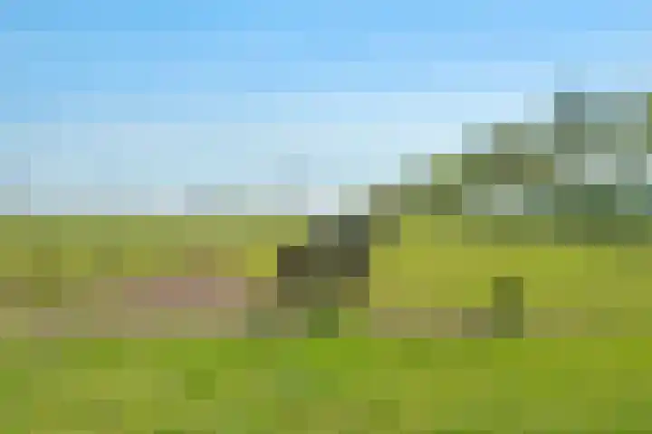Oostwijk 3 Dedemsvaart thumbnail 57