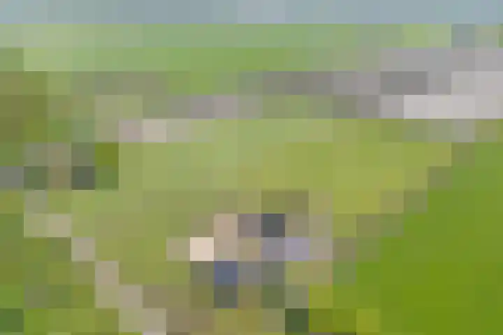 Oostwijk 3 Dedemsvaart thumbnail 6