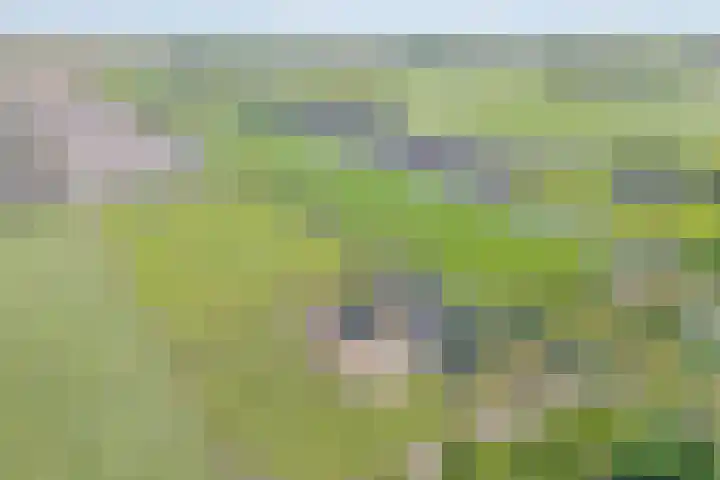 Oostwijk 3 Dedemsvaart thumbnail 62