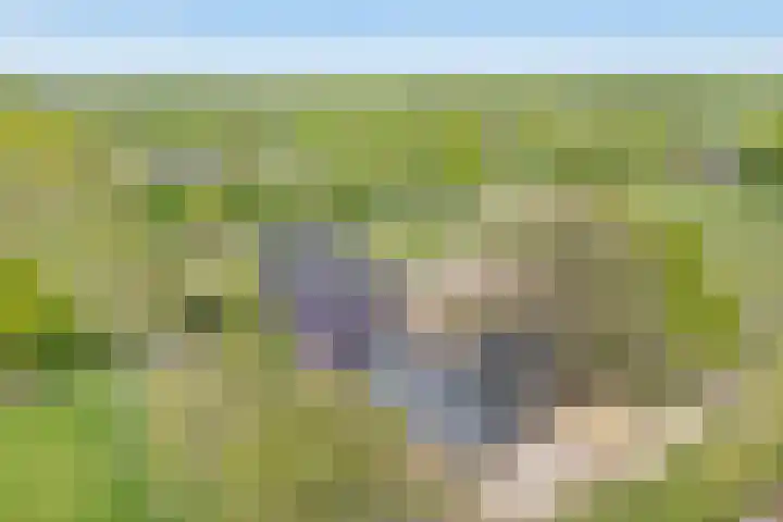 Oostwijk 3 Dedemsvaart thumbnail 7