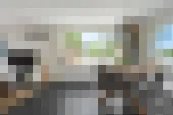Oostwijk 3 Dedemsvaart thumbnail 9