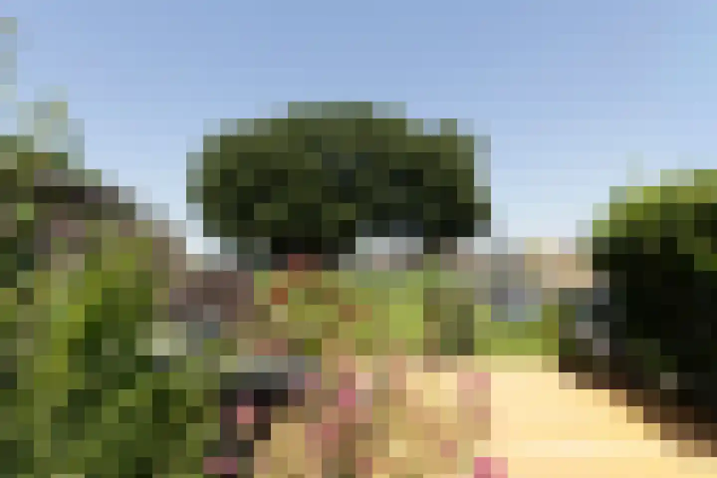 Oostwijk 34 Linschoten thumbnail 27