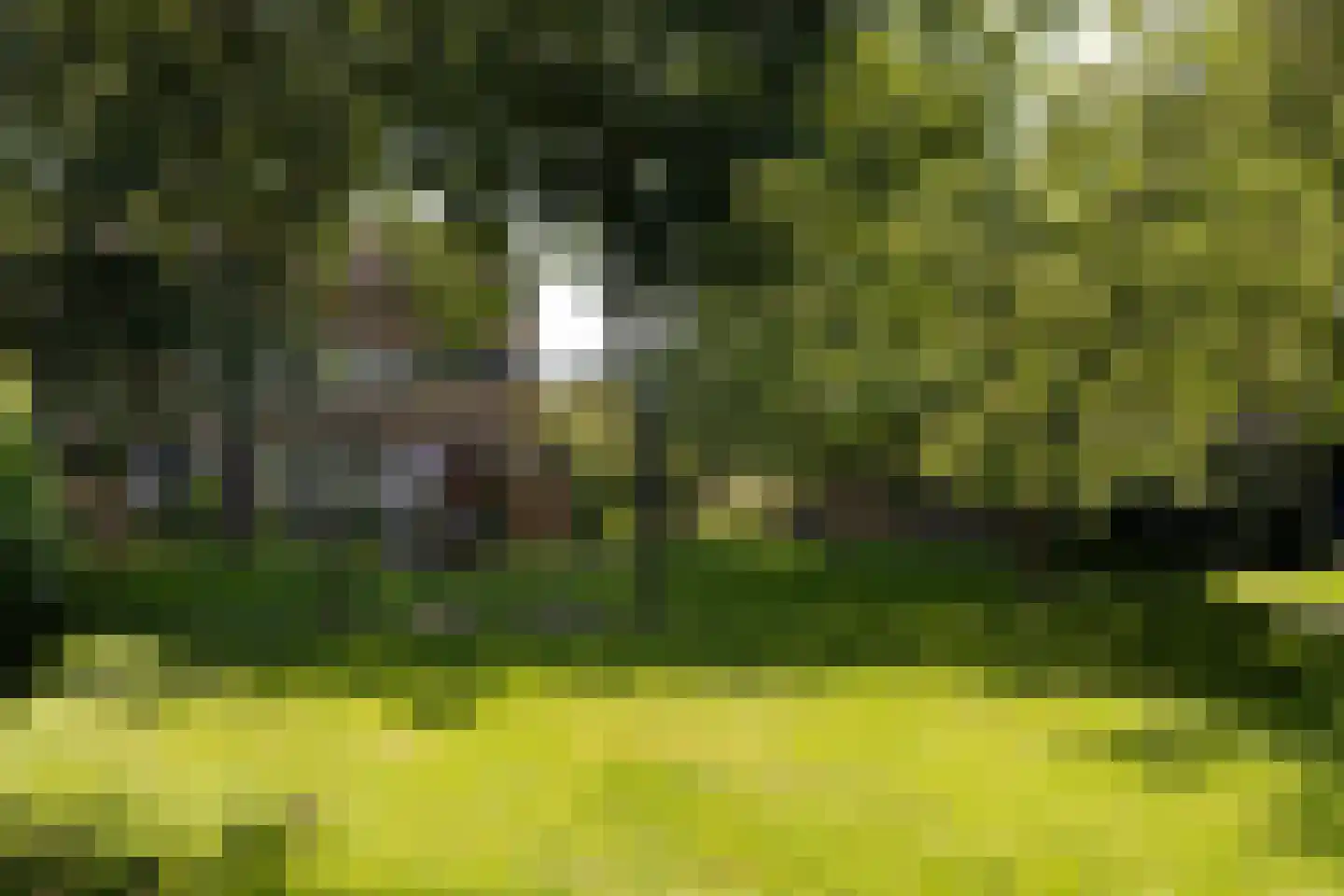 Oostwijk 34 Linschoten thumbnail 32