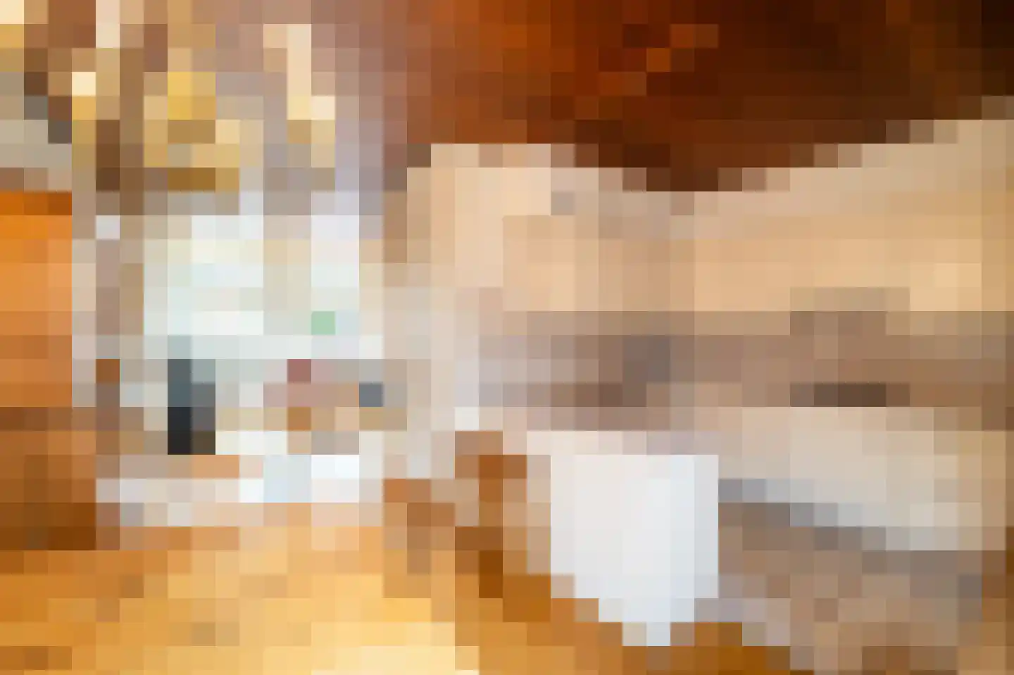 Oostwijkstraat 46 Steenwijk thumbnail 7