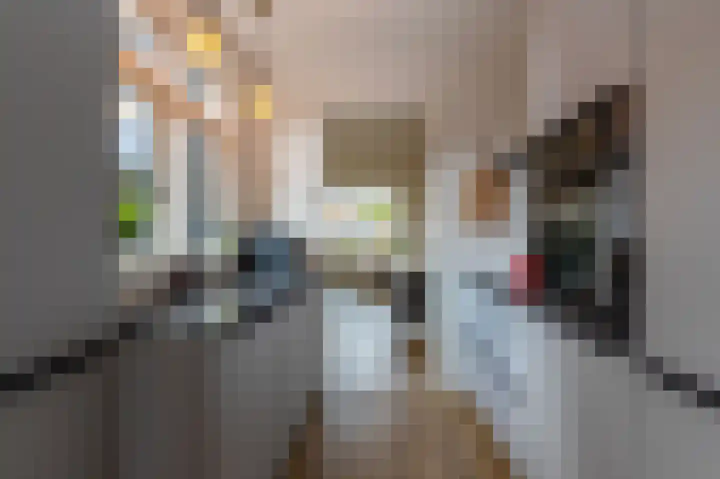 Oostwijkstraat 5 Steenwijk thumbnail 23