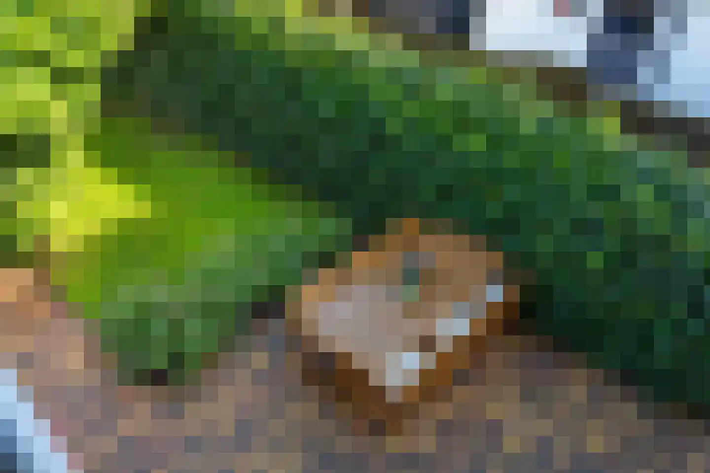 Oostwijkstraat 5 Steenwijk thumbnail 36