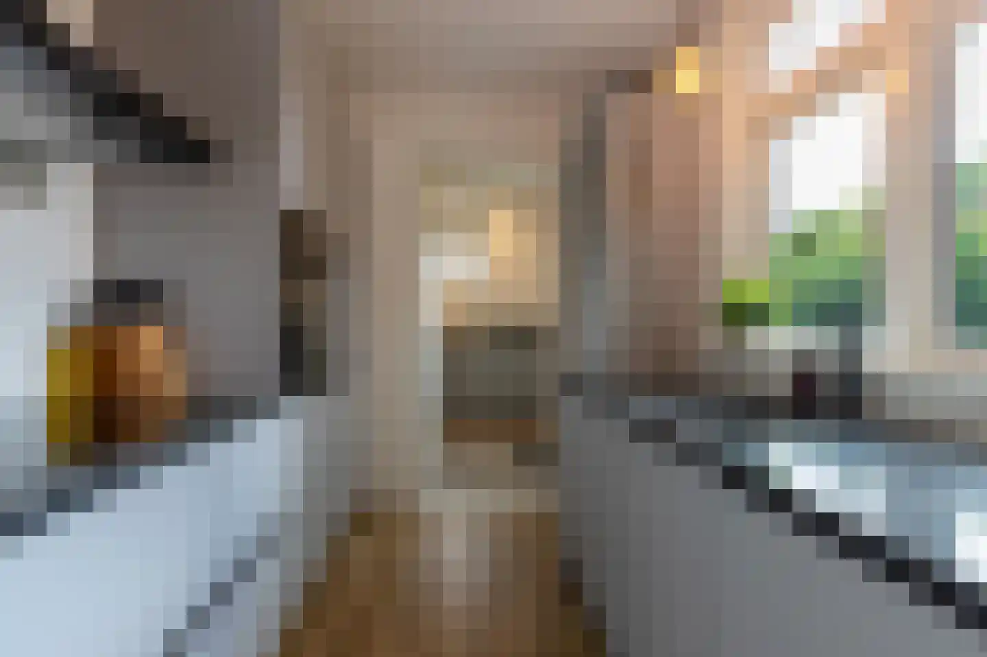 Oostwijkstraat 5 Steenwijk thumbnail 4