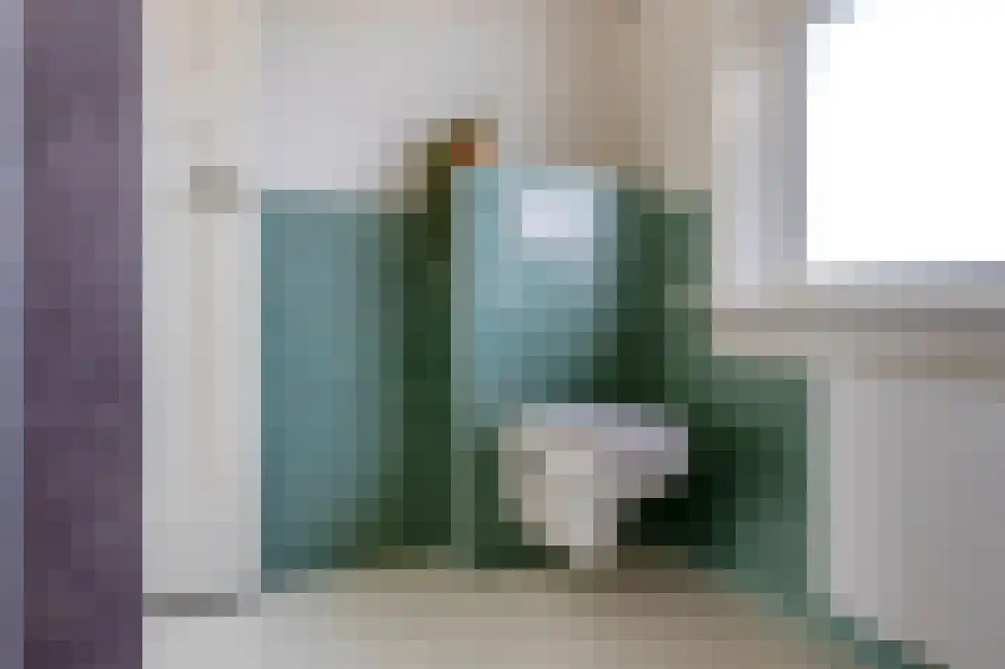 Oostwijkstraat 5 Steenwijk thumbnail 42