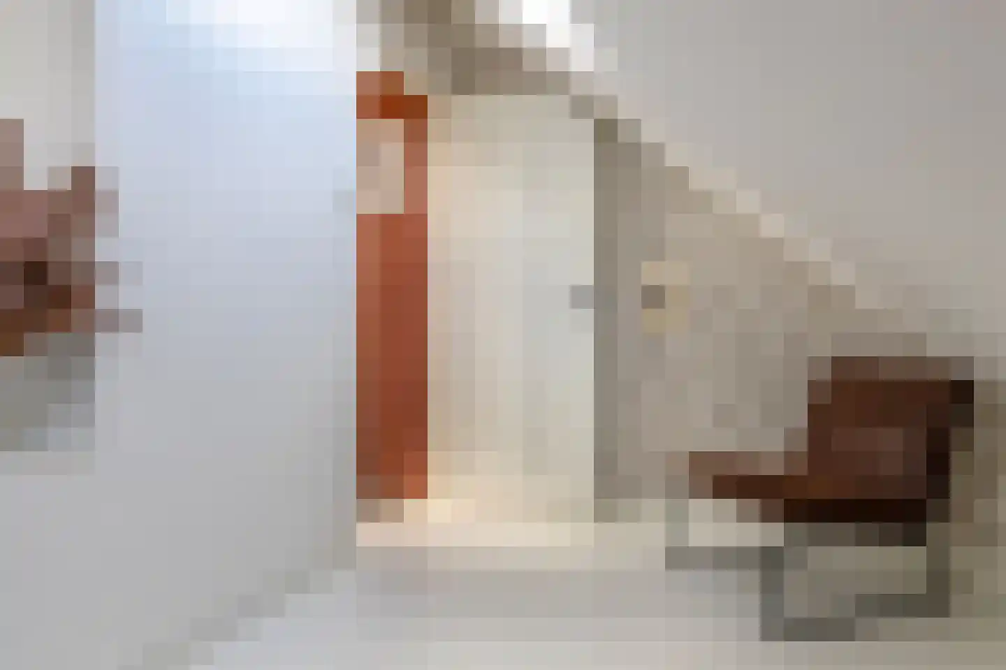 Oostwijkstraat 5 Steenwijk thumbnail 46