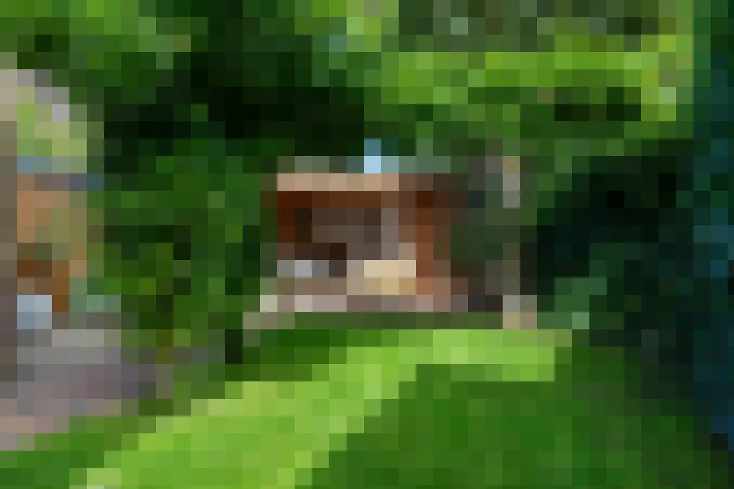 Oostwijkstraat 5 Steenwijk thumbnail 5