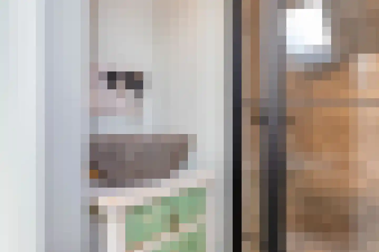 Oostwijkstraat 5 Steenwijk thumbnail 50