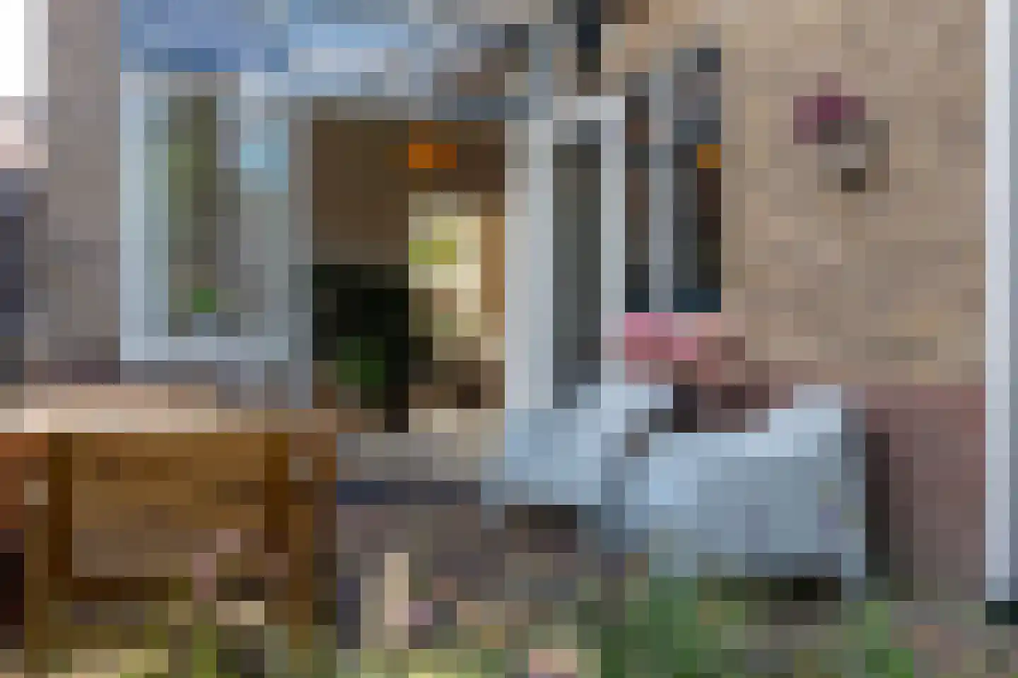 Oostwijkstraat 5 Steenwijk thumbnail 52