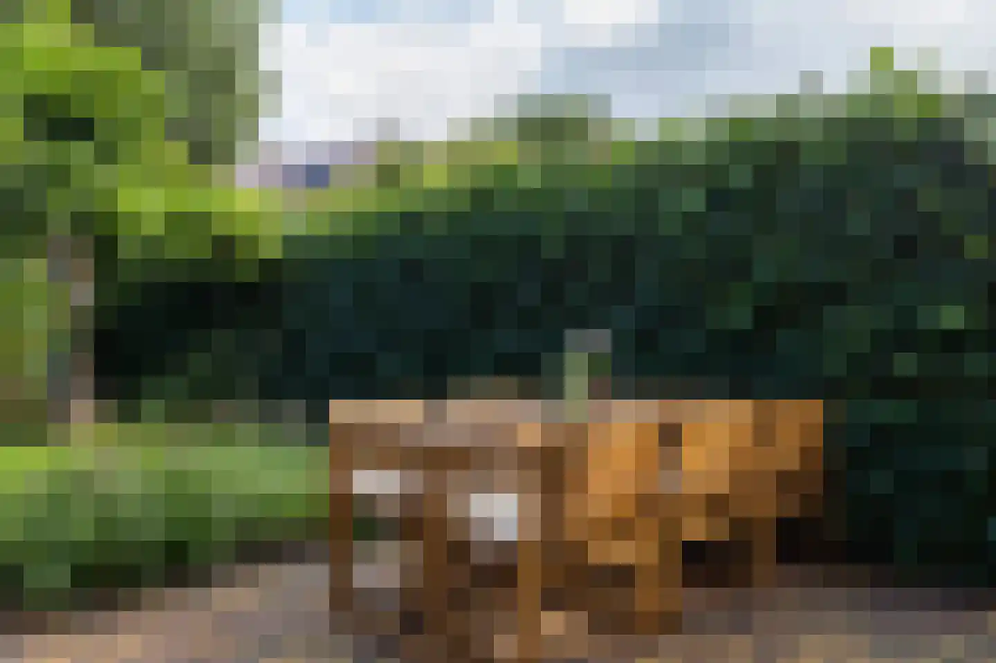 Oostwijkstraat 5 Steenwijk thumbnail 54