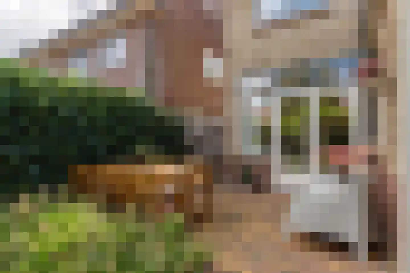 Oostwijkstraat 5 Steenwijk thumbnail 55