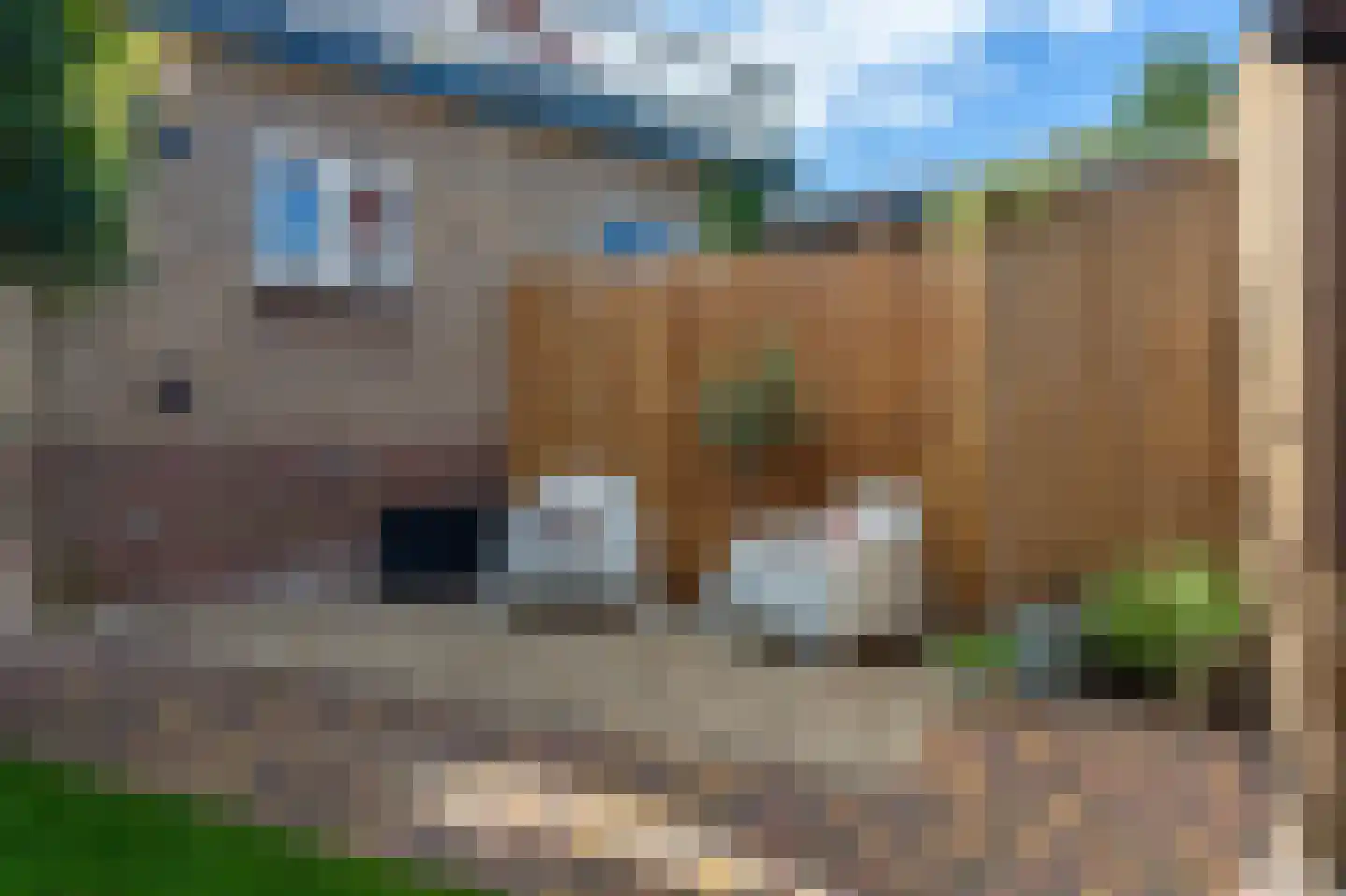 Oostwijkstraat 5 Steenwijk thumbnail 61