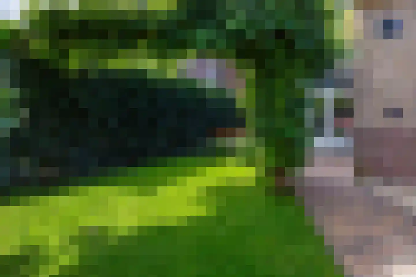 Oostwijkstraat 5 Steenwijk thumbnail 62