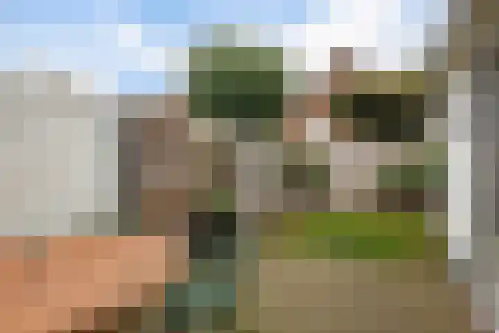 Oostwijkstraat 7 Steenwijk thumbnail 38