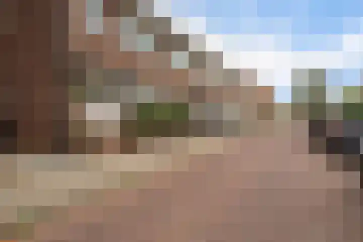 Oostwijkstraat 7 Steenwijk thumbnail 7