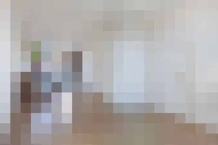 Oostwijkstraat 87 Steenwijk thumbnail 4