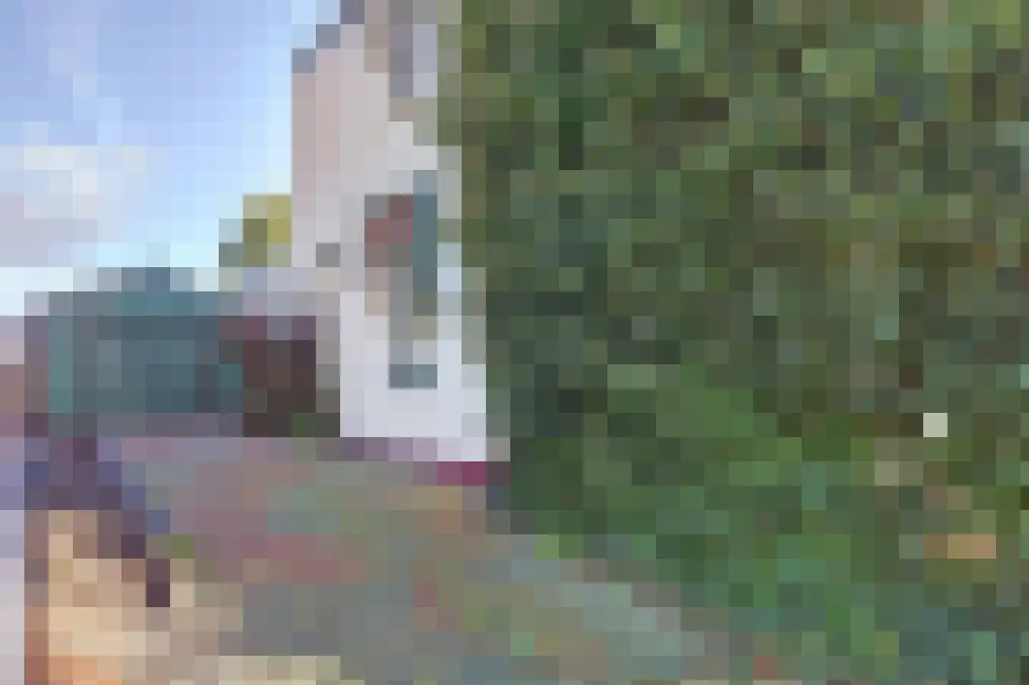 Oostwouder Dorpsstraat 22 Oostwoud thumbnail 28