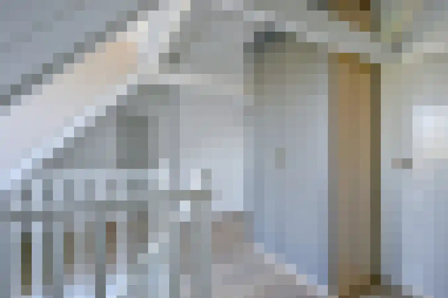 Oostwouder Dorpsstraat 43 Oostwoud thumbnail 31