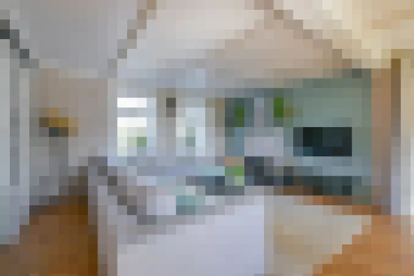 Oostwouder Dorpsstraat 43 Oostwoud thumbnail 8