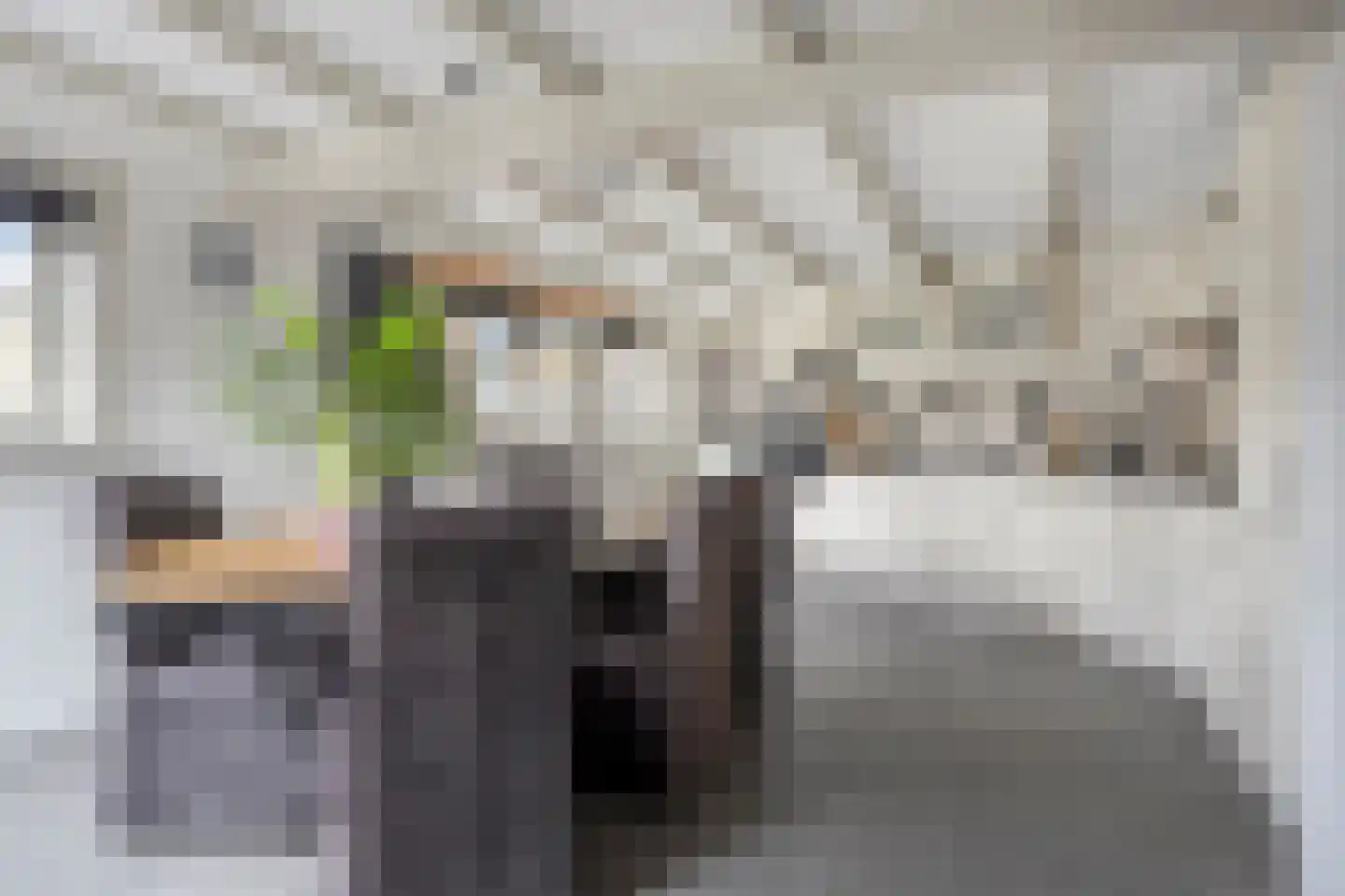 Oostwouder Dorpsstraat 57 Oostwoud thumbnail 14