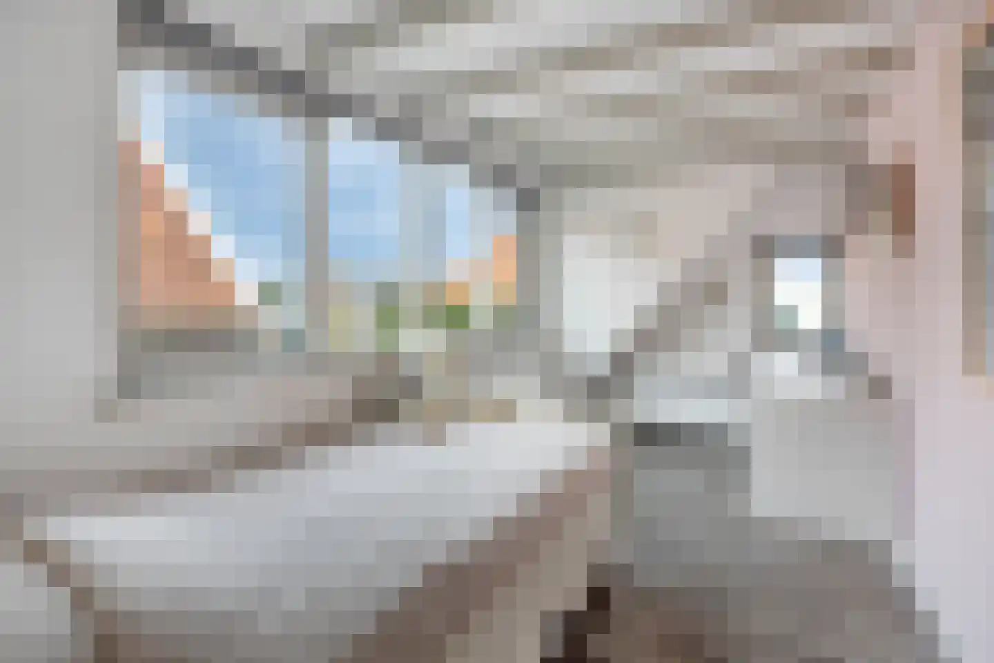 Oostwouder Dorpsstraat 57 Oostwoud thumbnail 26