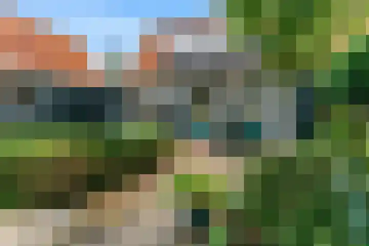 Oostwouder Dorpsstraat 85 Oostwoud thumbnail 16